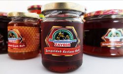 "Kestane Balı" tescillendi