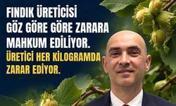 "Fındık üreticisi, maliyetlerin altında eziliyor"