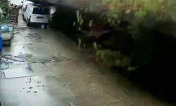 Köpekler telef oldu, 2 araç enkaz altında kaldı!