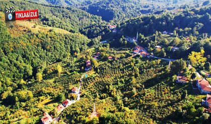 Zonguldak ormanları, renk cümbüşüne sahne olacak