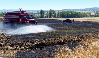 Buğday tarlasında yangın: 20 dönüm alan zarar gördü!