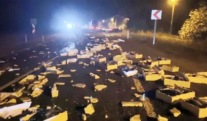 Kara yolu, balık haline döndü!