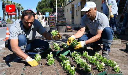 Karadeniz Ereğli, çiçek gibi oluyor