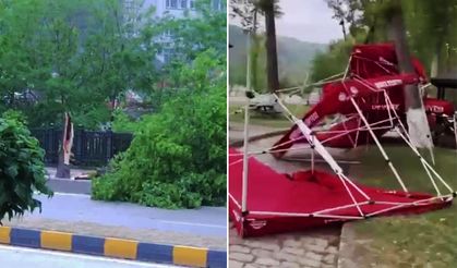 Devrek'te, şiddetli rüzgar ağaçları devirdi!