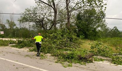 Şiddetli fırtınada ağaçlar devrildi!
