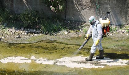 Ereğli'de, dereler ilaçlanıyor