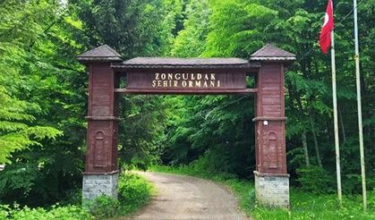 Ormanlarda ateş yakılması yasaklandı!