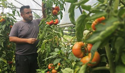 Baba mesleğini bıraktı, tarıma başladı