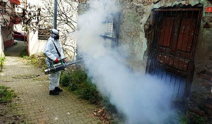 Zararlılarla kaynağında mücadele