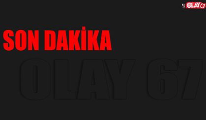 Alaplı'da ele geçirildi!