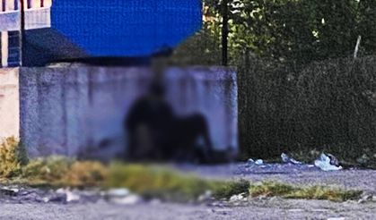 Ereğli'de, hayvana istismar iddiası!