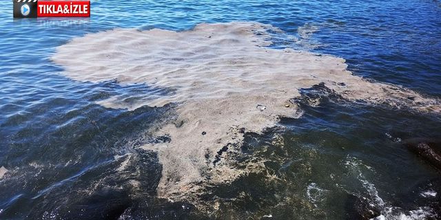 Karadeniz, kirliliğe terk edildi