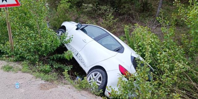 Kontrolden çıkan otomobil, ağaca çarptı: 2 yaralı!
