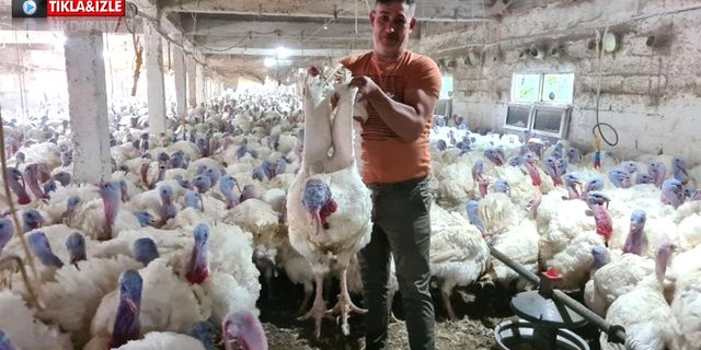 Haberden etkilendi, talebe yetişemiyor!