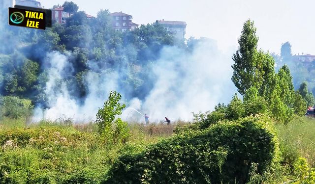 Kdz. Ereğli'de yangın!