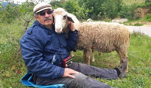 Küçükbaş hayvanlarla yeniden hayata bağlandı