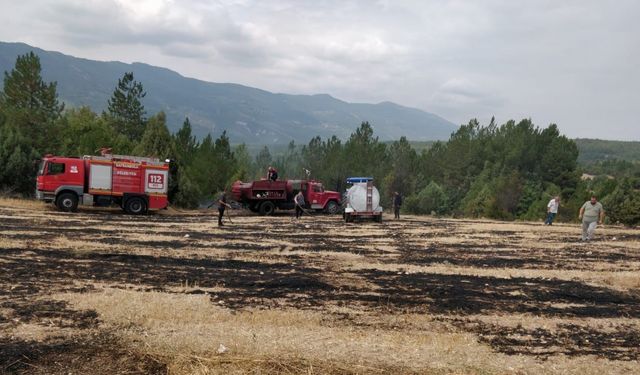 Kopan elektrik telleri, yangına neden oldu!