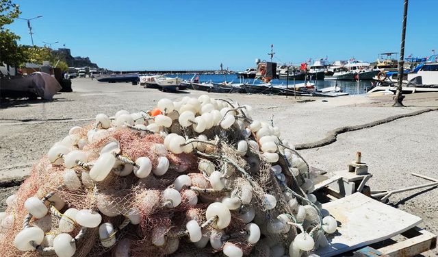 Balıkçılar, yeni sezonda palamuttan umutlu