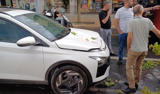 Yeni aldığı aracının üzerine ağaç devrildi!