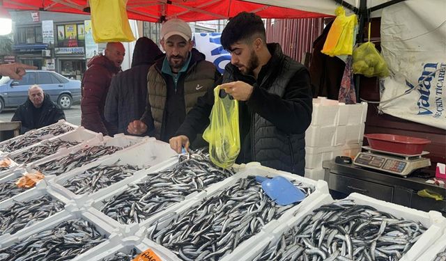 Tezgahların yeni gözdesi hamsi