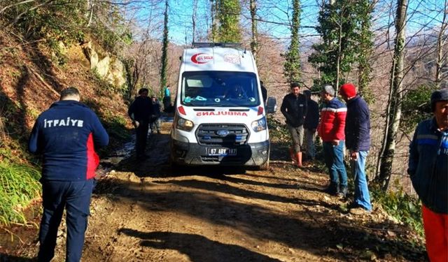 Alaplı'da, üzerine tomruk devrilen işçi yaralandı