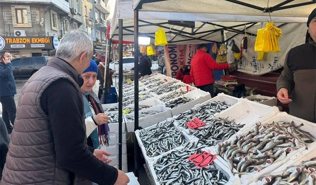 Hamsi, 250 lirayı görebilir!