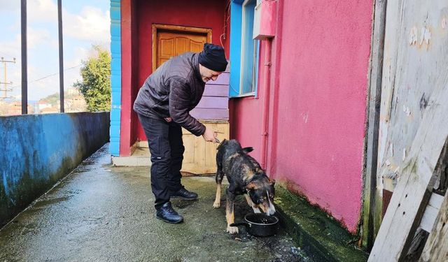 Köpeğin vefası herkesi duygulandırdı