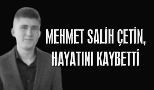 Ormanlılı gence kamyonet çarptı!
