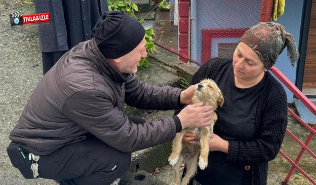 Köpeğini sokağa bırakıp gitti