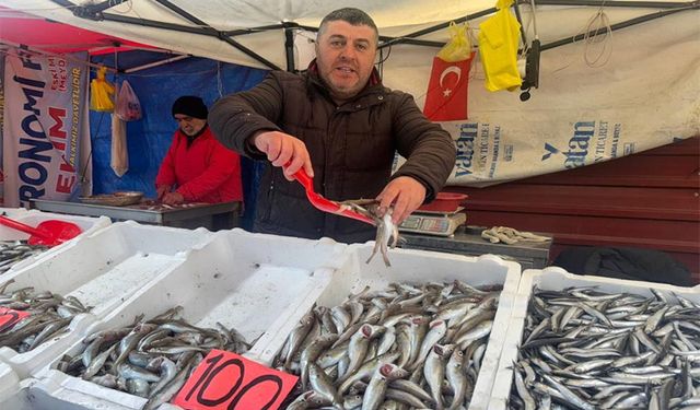 Tezgahlarda mezgit bolluğu