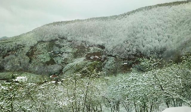 Zonguldak’ta yüksek kesimlerde kar yağışı etkili oldu
