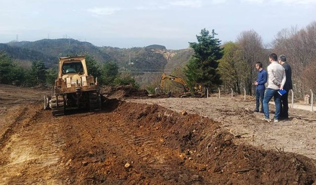 Sokak hayvanları için çalışmalar hız kazandı