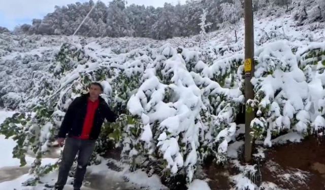 Zonguldak’ın yüksek kesimlerinde kar etkili oldu