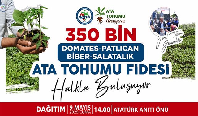 350 bin adet ata tohumu dağıtılacak
