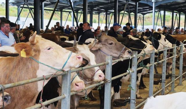 Kurban pazarları hareketlendi