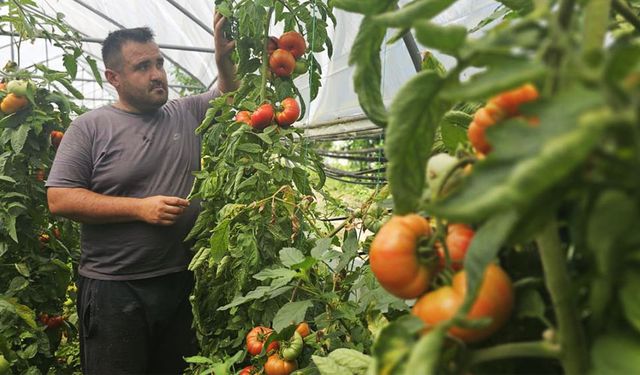 Baba mesleğini bıraktı, tarıma başladı
