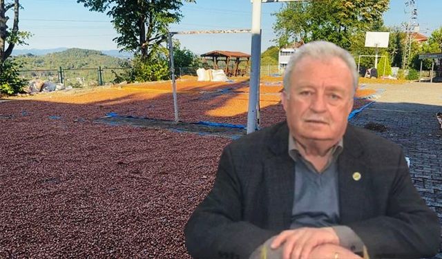 Fındık 10 dolara çıkarsa şaşırmayın