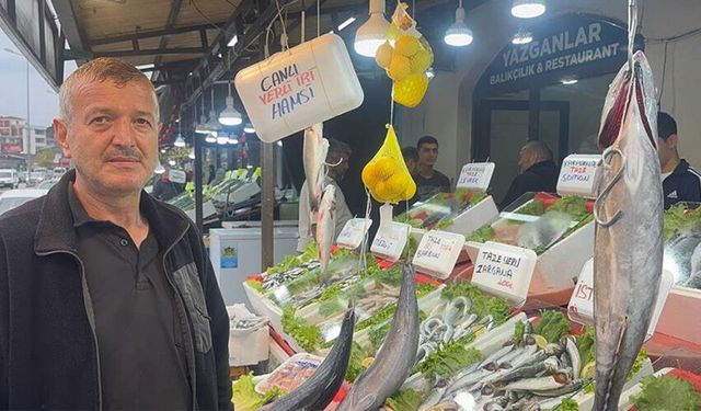 Balıkçıların hamsi beklentisi yüksek