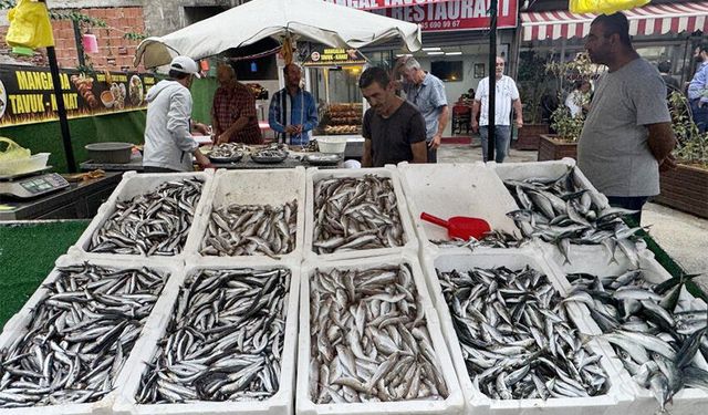 Zonguldak’ta, tezgahlar balıkla şenlendi