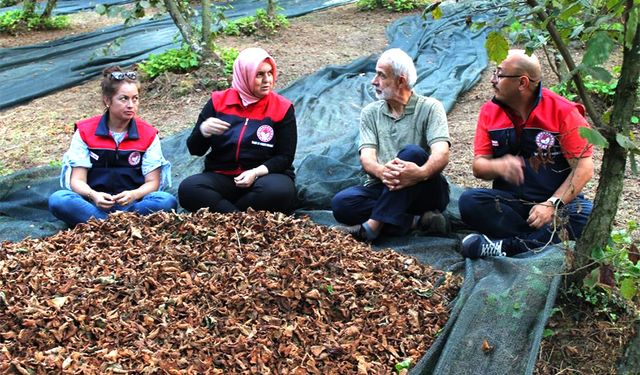 Maliyet düşüyor, kalite artıyor