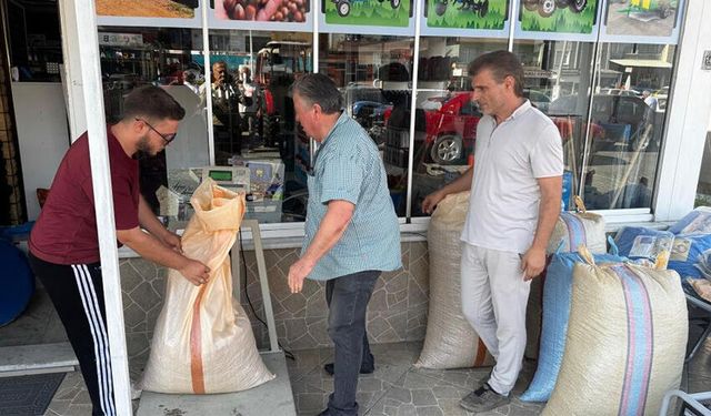 Fındığın fiyatı 250 lirayı geçti