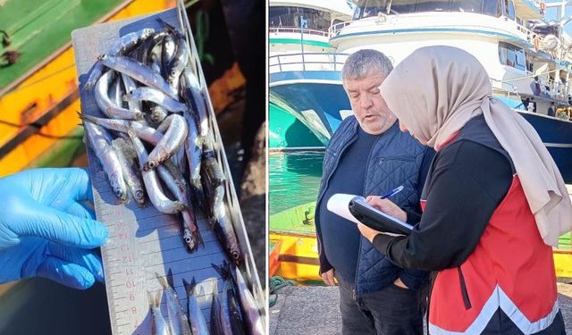 Ereğli’de, 153 tekneye e-seyir onayı verildi