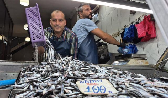 Yaz sıcakları palamudu vurdu, yerini hamsi aldı