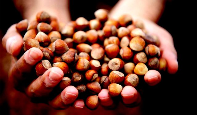 15 bin 288 ton ihraç edildi