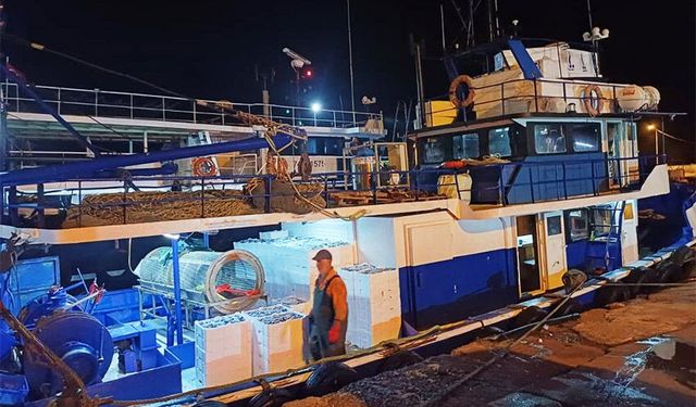 Bir ayda 198 ton hamsi çıkışı oldu