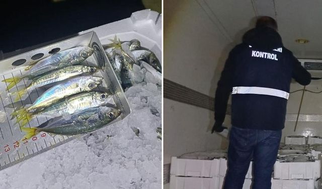 Akçakoca'da, bin 845 kilo istavrite el konuldu!