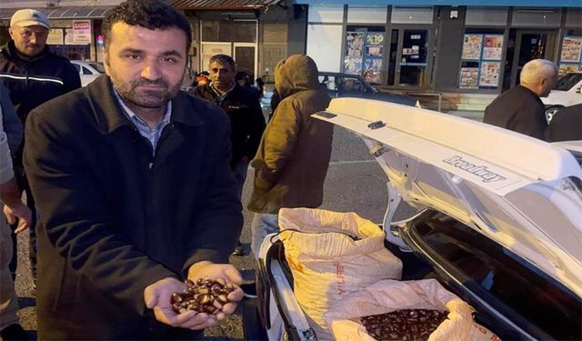 Türkiye’nin kestane borsası Alaplı’da kuruldu