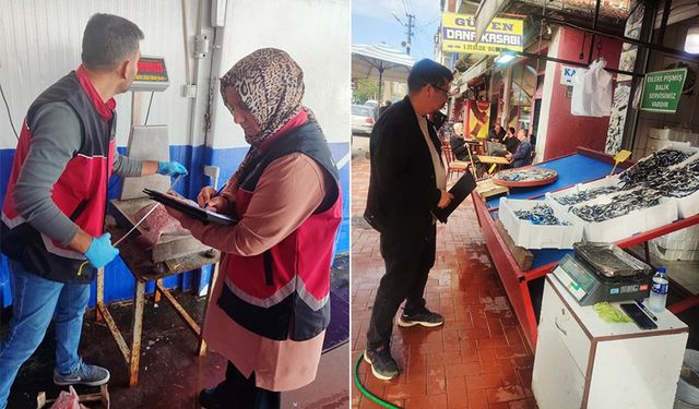 Zonguldak’ta, su ürünleri denetimleri sürüyor