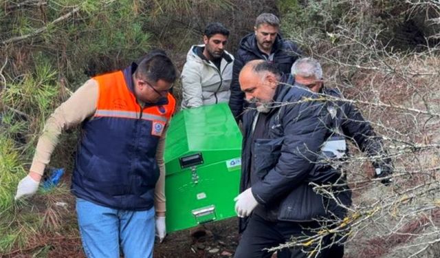 Ağaçlık alanda ölü bulundu!