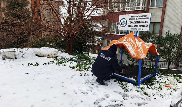 Siz de destek olabilirsiniz